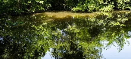 image d'une rivière et de ses berges